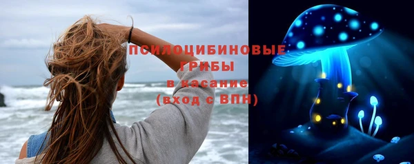 дурь Лиски