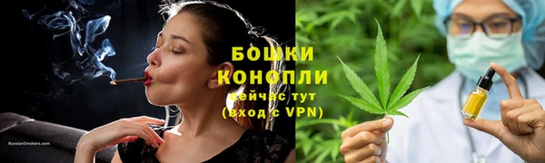 spice Лагань