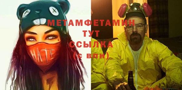 молекула духа Новозыбков