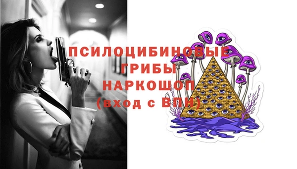 дурь Лиски